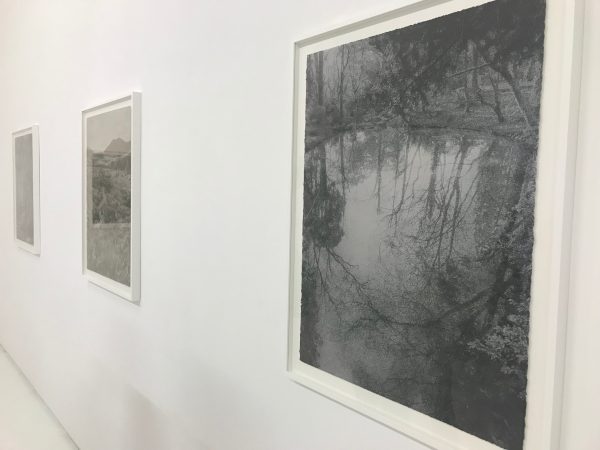 【アートレビュー】伊庭 靖子 個展「grain」