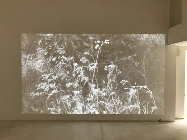 近大美術アート作品 アーティストインタビュー】#018 近藤 大祐│週末の。アート